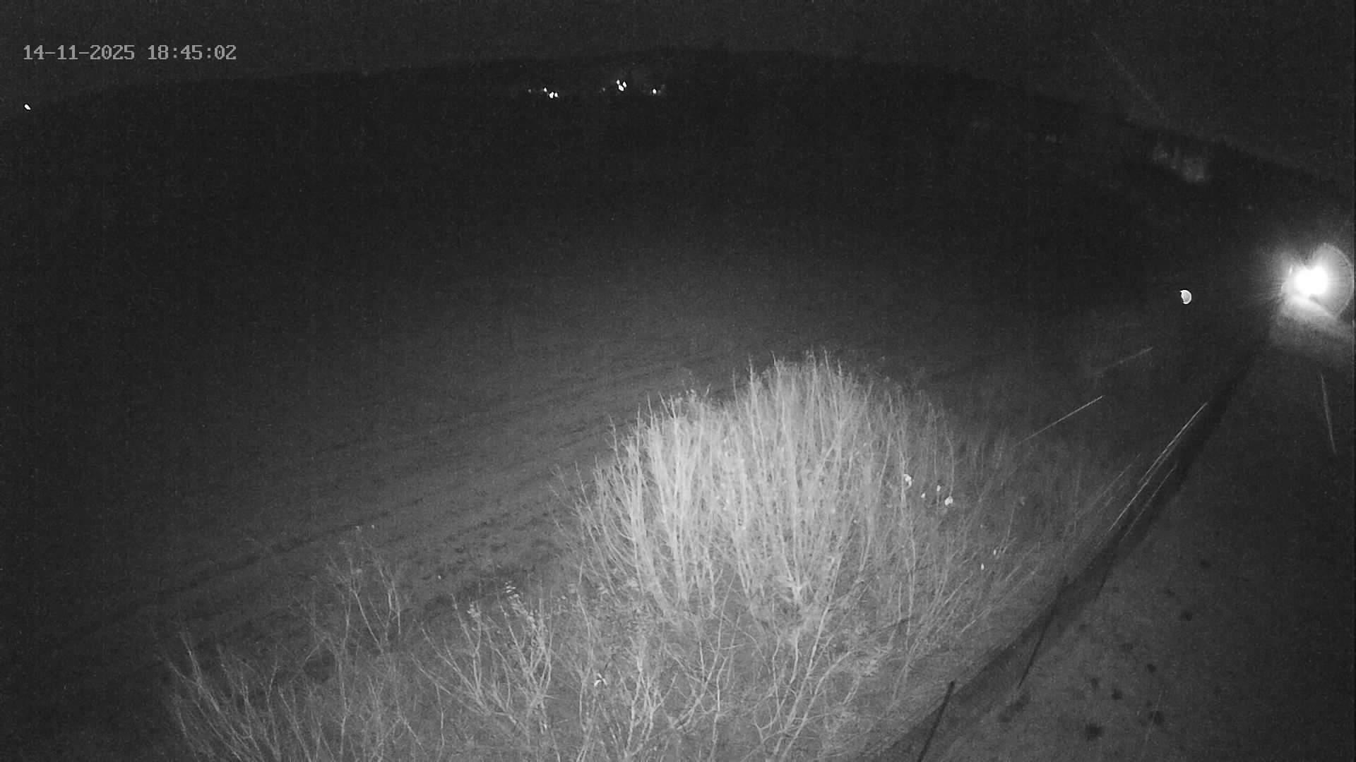 Obrázek z webkamery